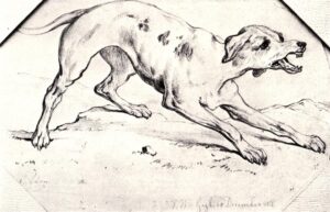 dog (1862)